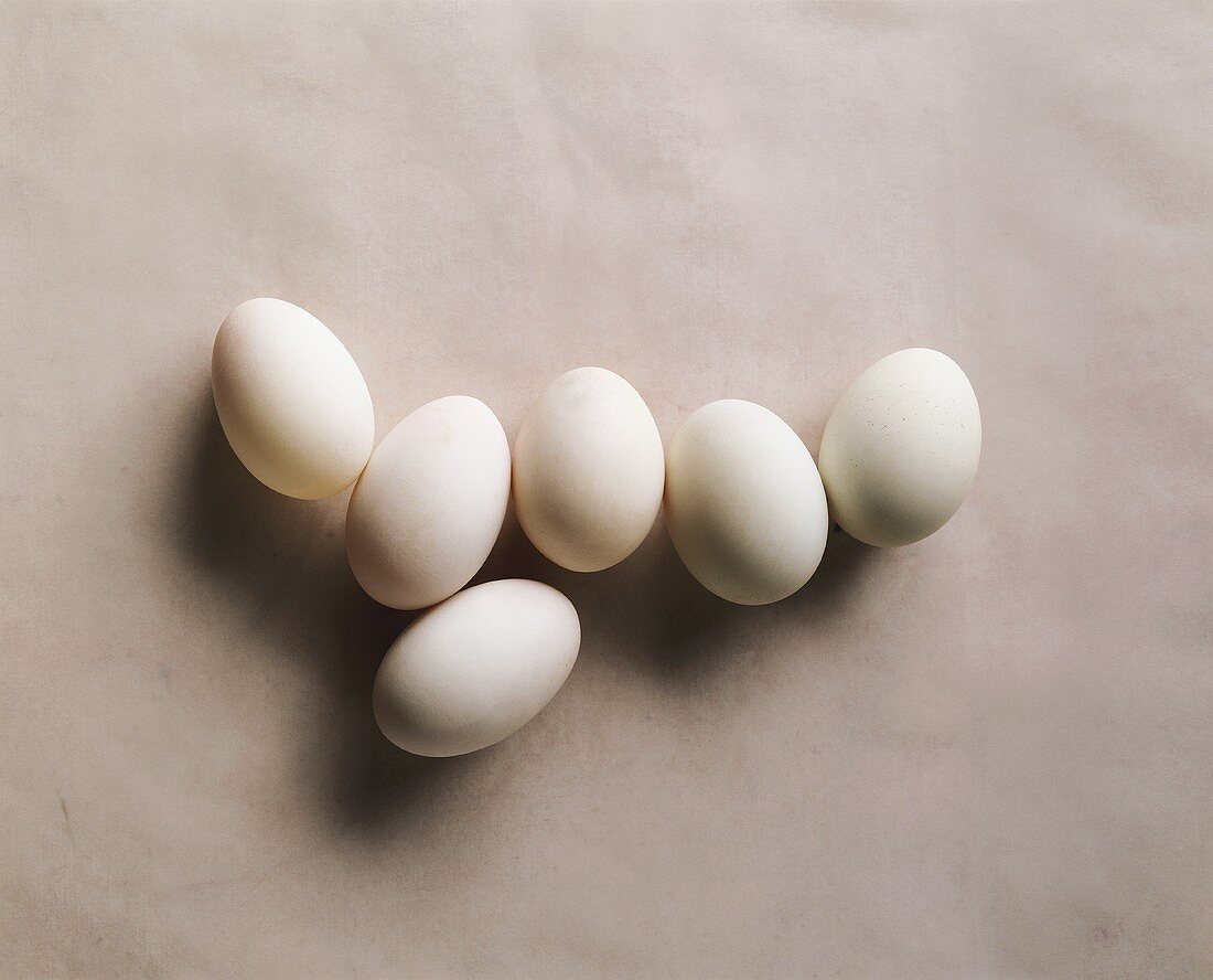 Several duck eggs