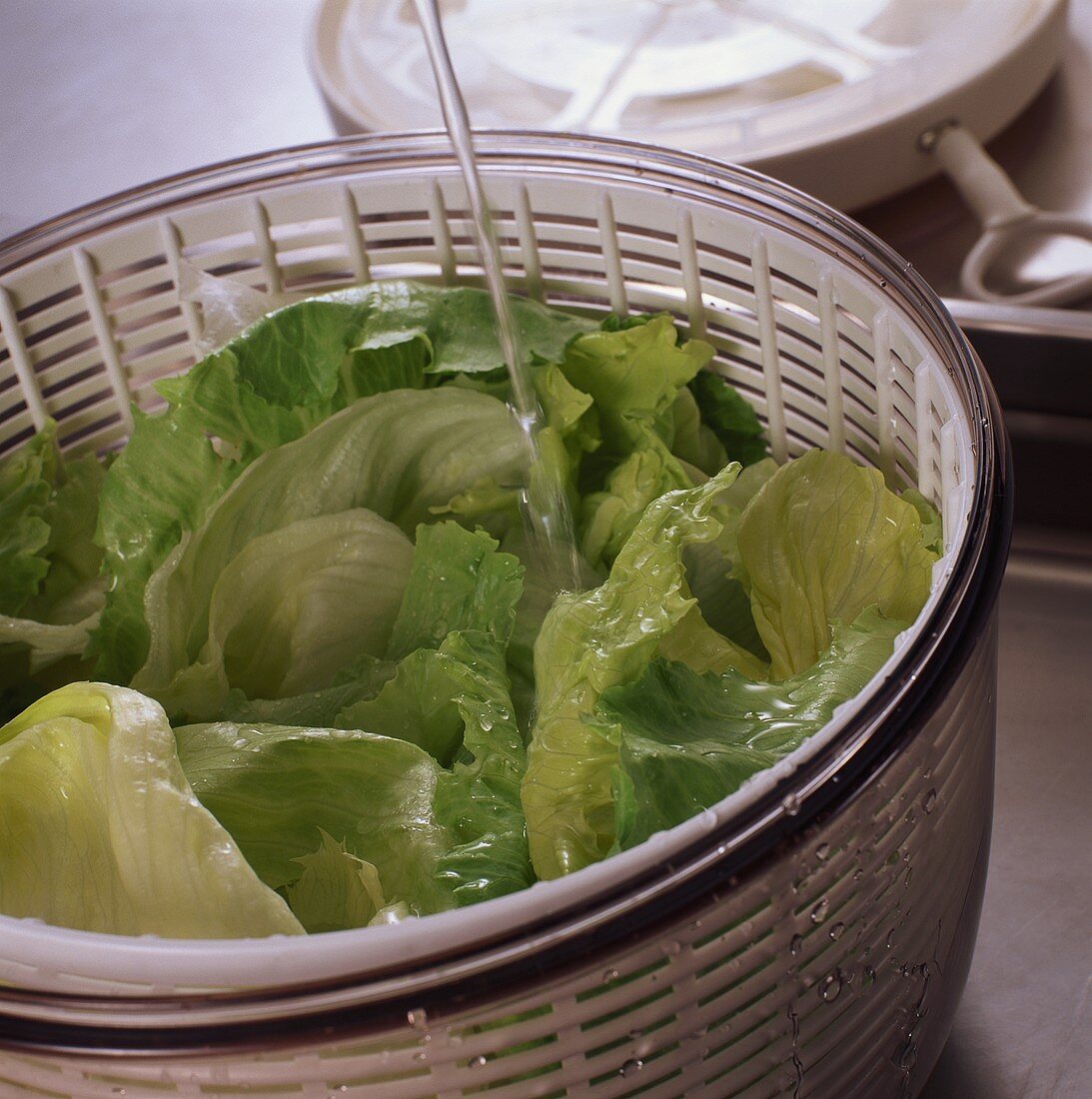 Washing iceberg lettuce in salad spinner