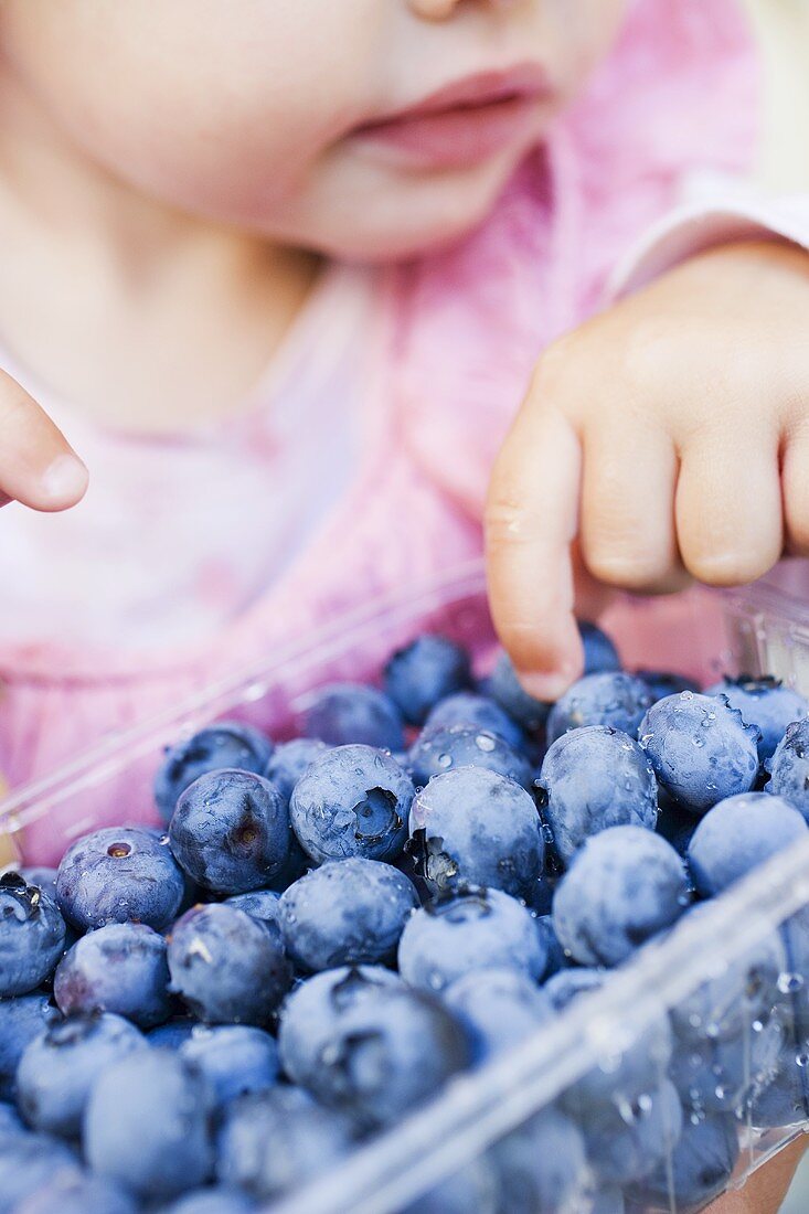 Kind isst frisch gewaschene Heidelbeeren