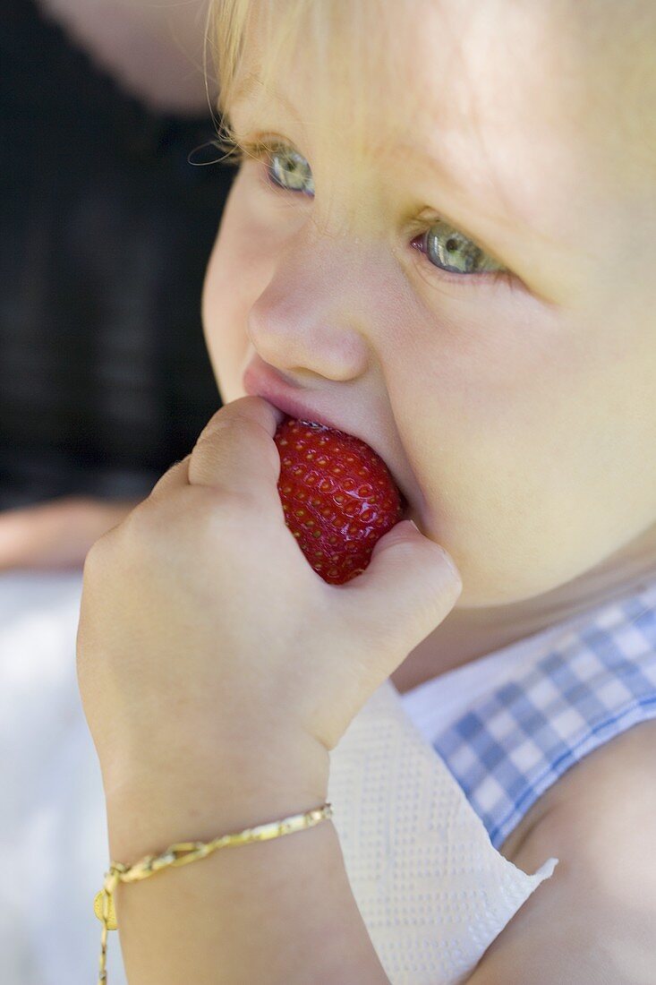 Kleines Mädchen isst Erdbeere