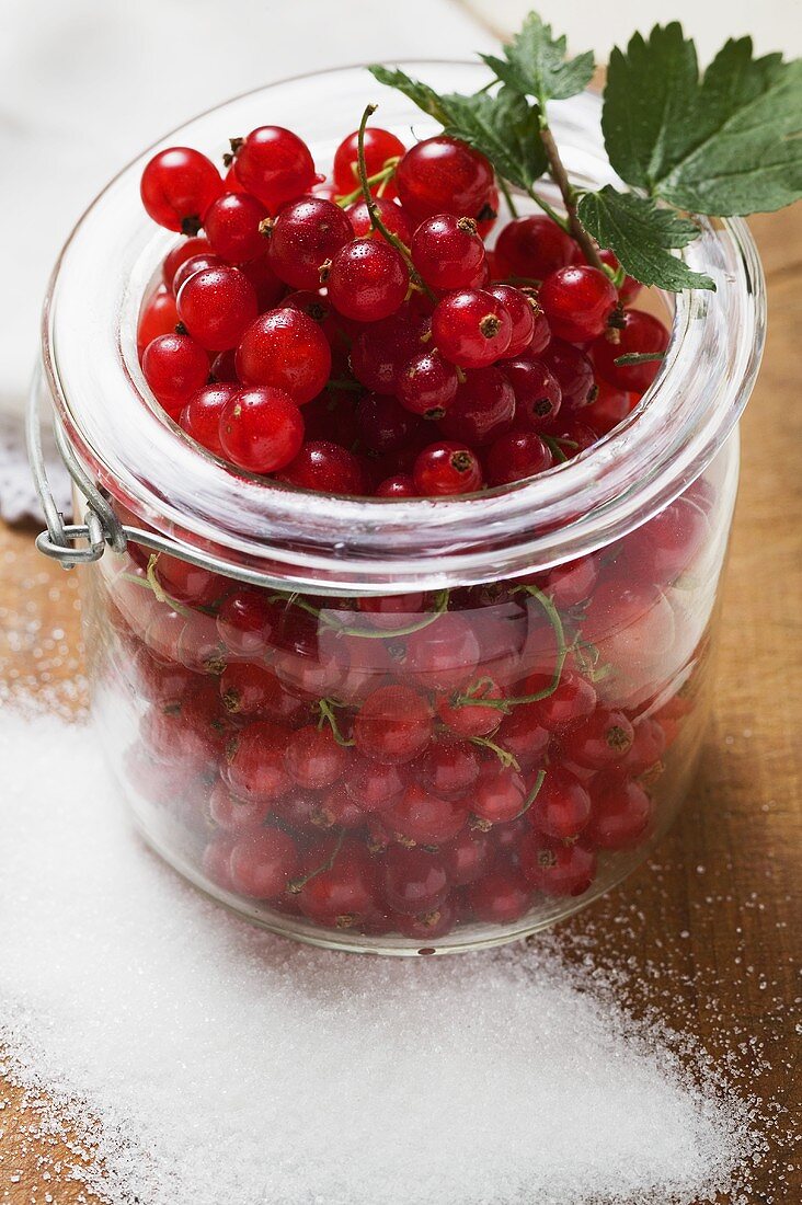 Redcurrants in jam jar, sugar beside it