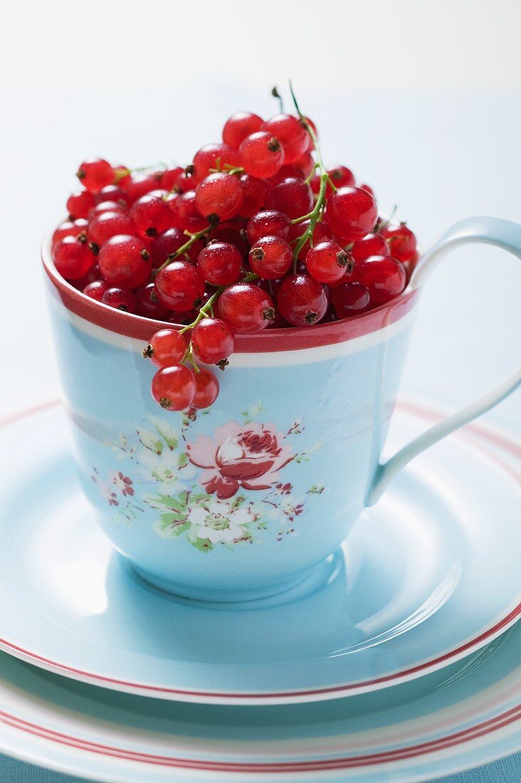 Redcurrants in coffee cup