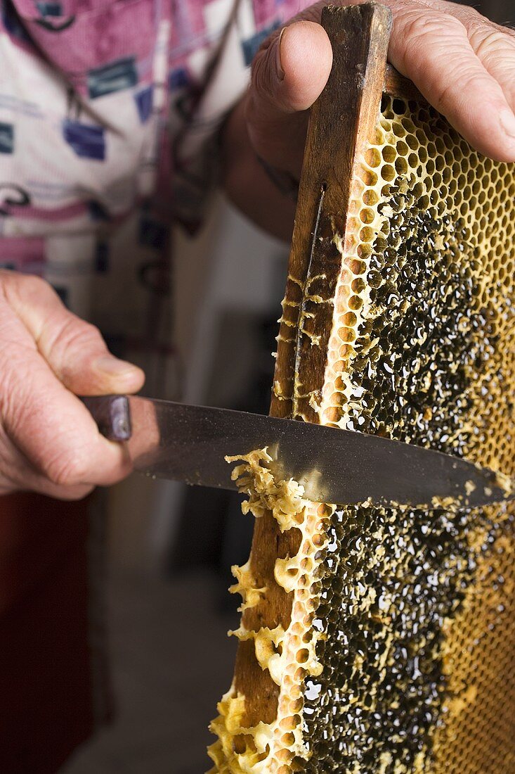 Beekeeper scraping wax from the honeycomb with a knife