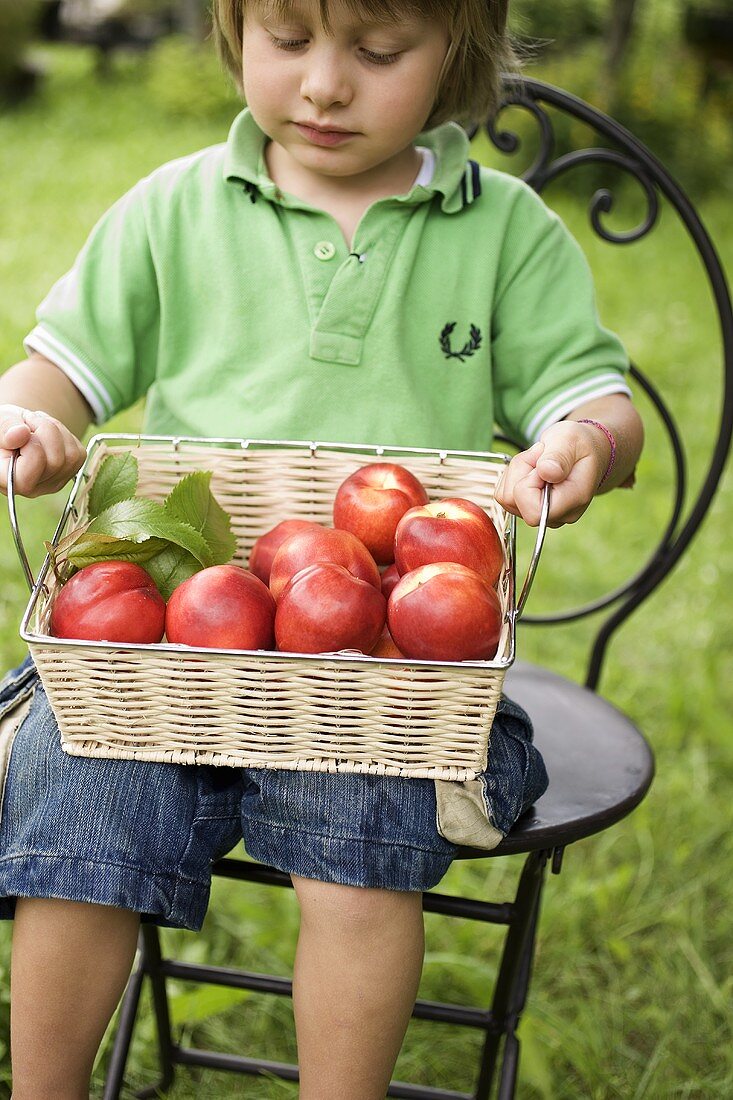 Child holding basket of nectarines