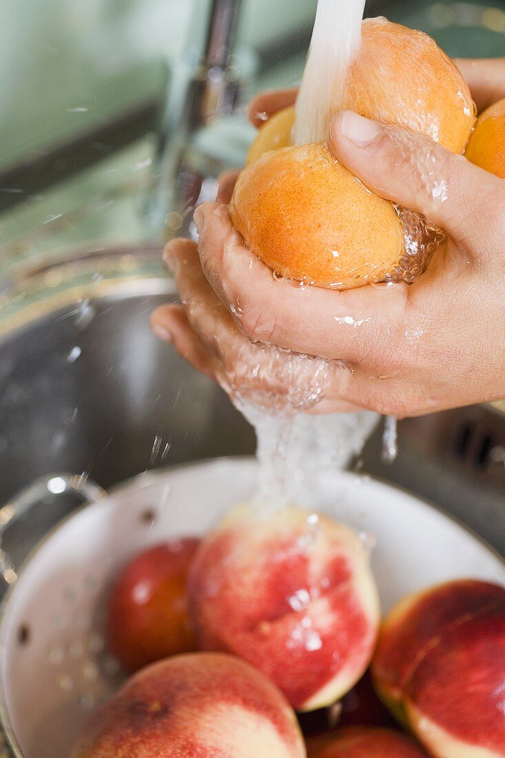 Aprikosen waschen