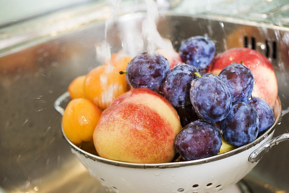 Washing plums, peaches and apricots