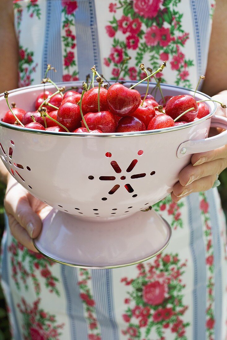 Woman holding fresh cherries in colander