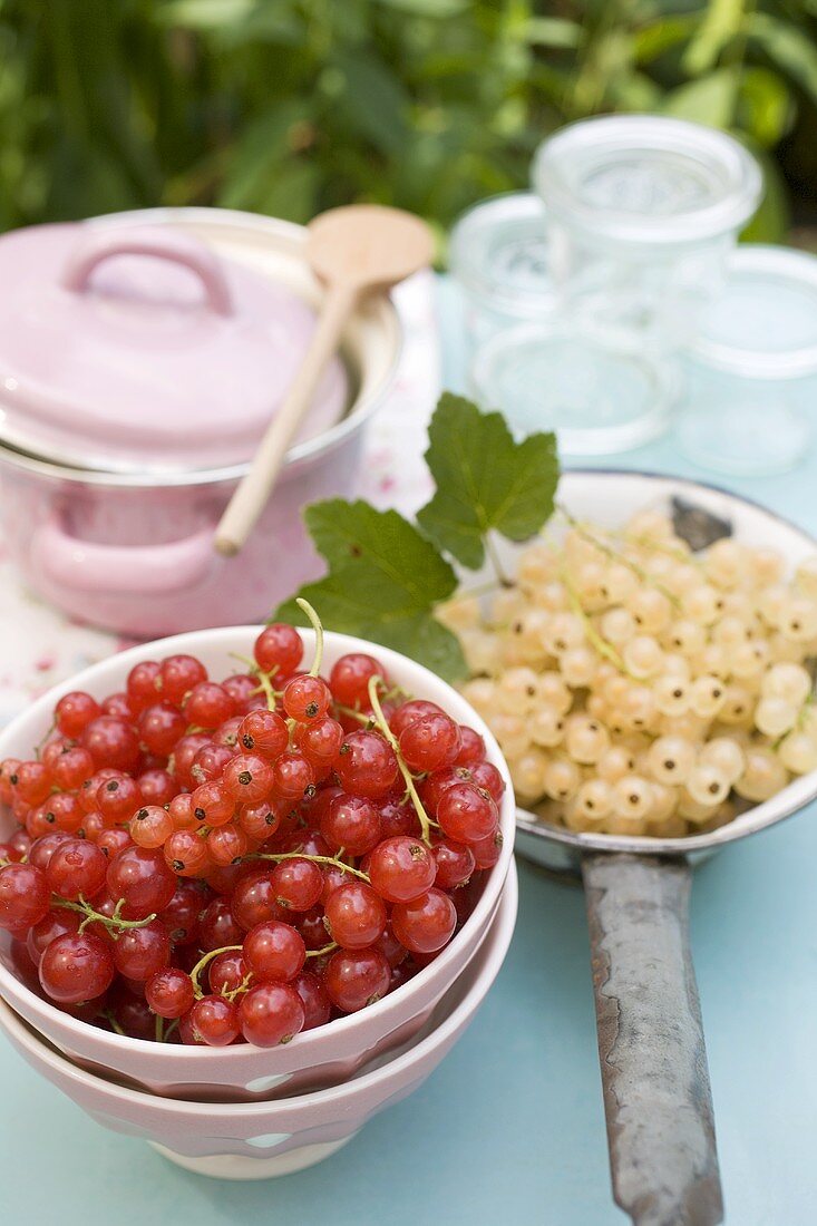 Redcurrants, pan and preserving jars on garden table