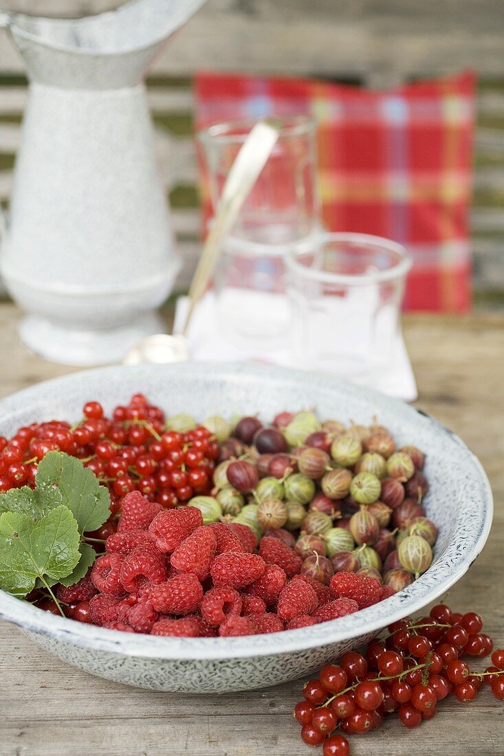 Verschiedene Beeren in Schale auf Gartentisch