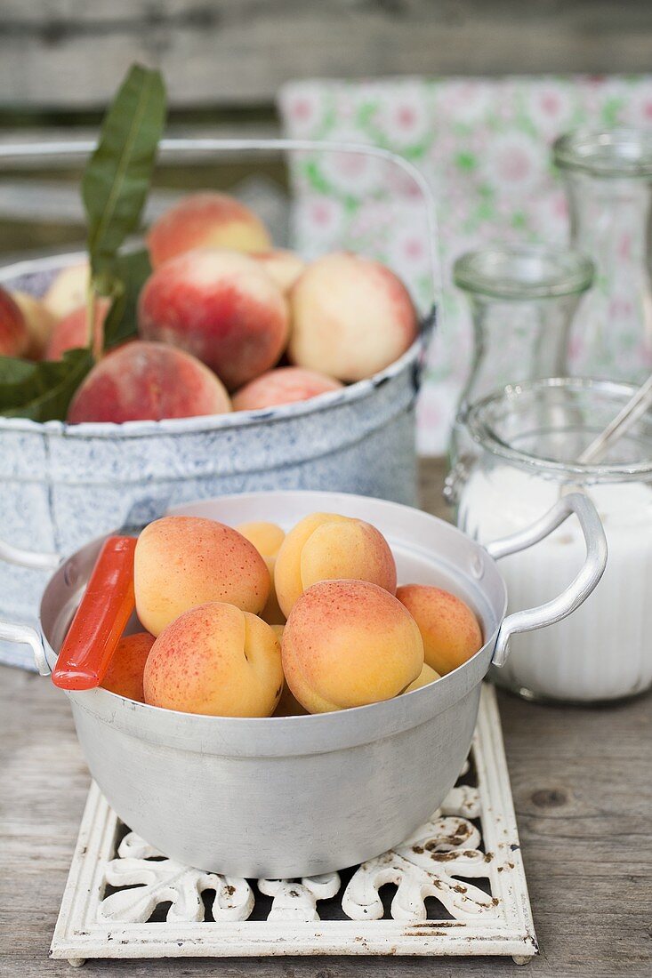 Aprikosen, Pfirsiche und Zucker auf Gartentisch