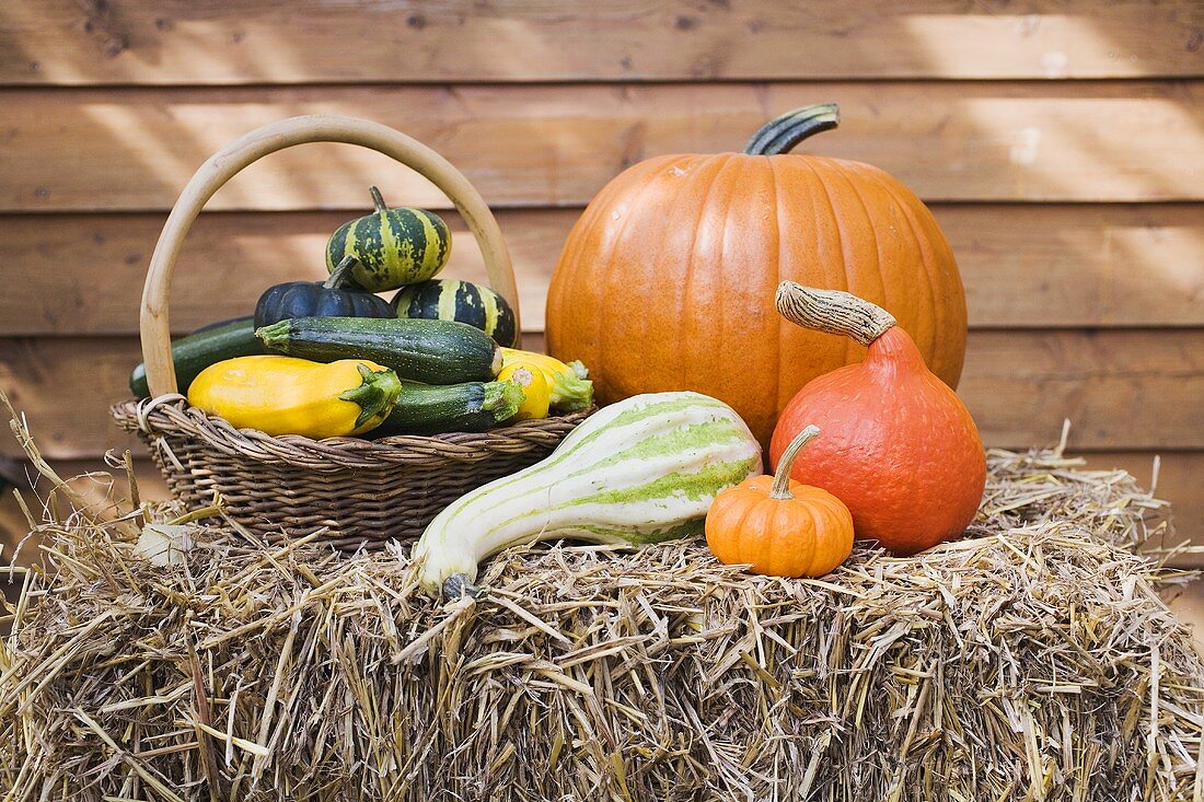 Squashes and pumpkins on straw in front of wooden wall