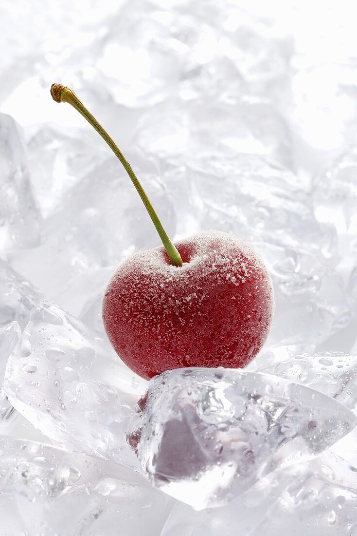 Frozen cherry on ice cubes