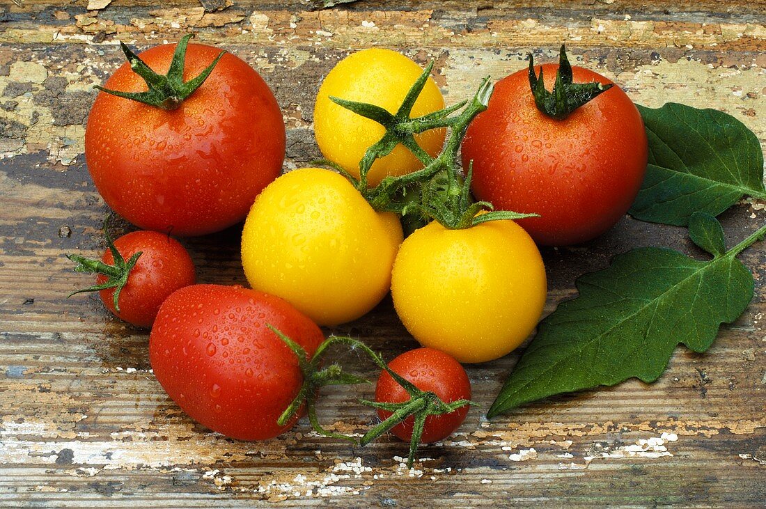 Various types of tomatoes with drops of water