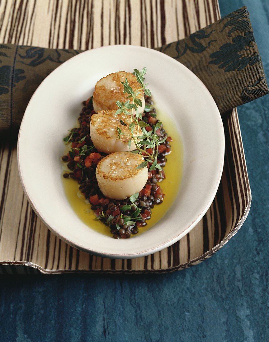 Fried scallops on lentils and peppers