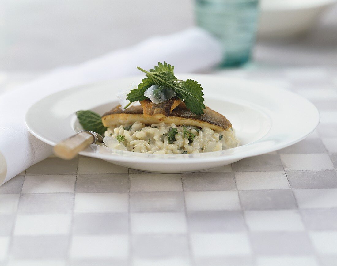 Fried charr on risotto with nettles