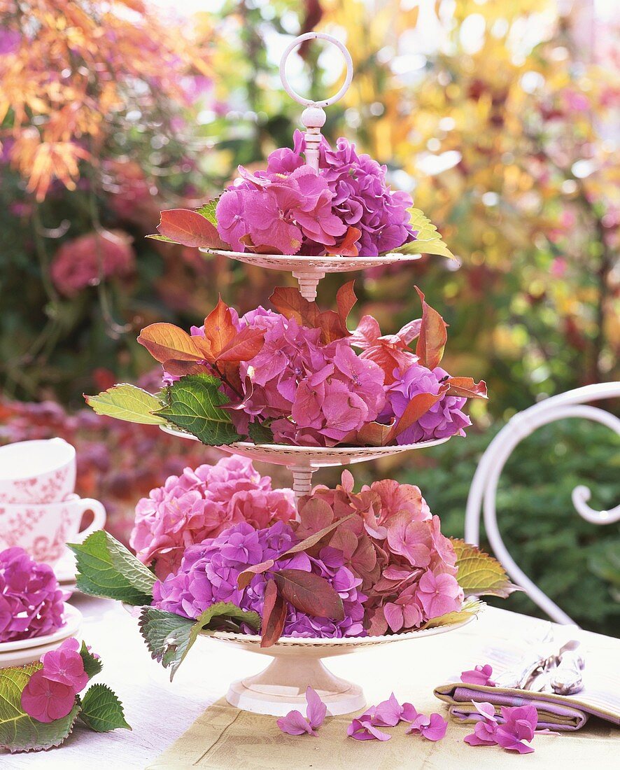 Hydrangeas and autumn leaves on tiered stand on table