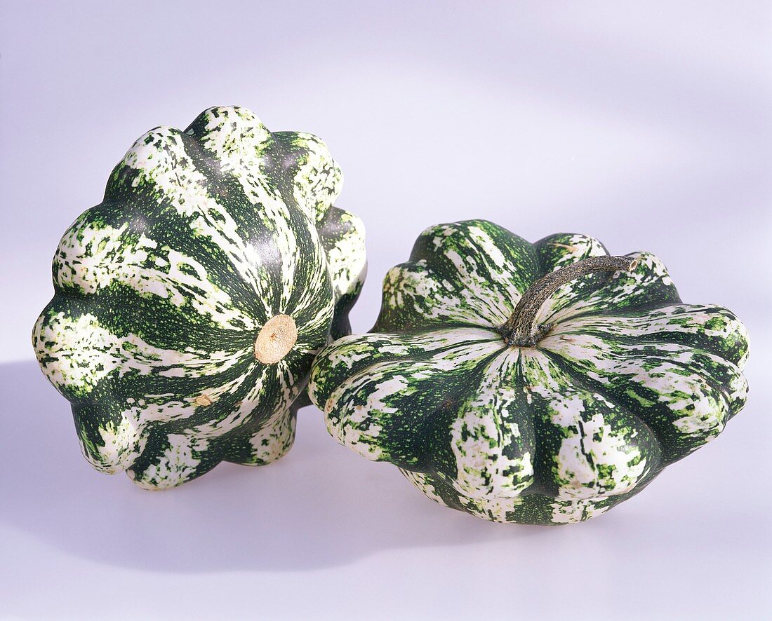 Two green and white squashes