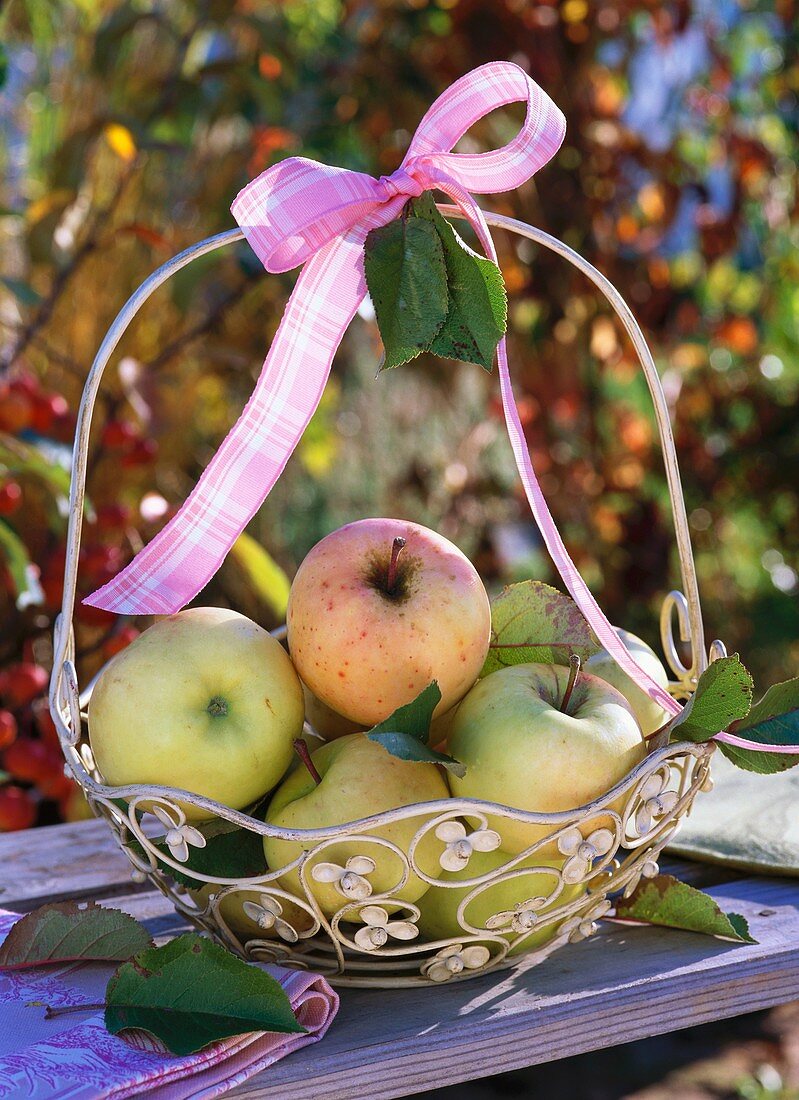 Green apples in basket with pink bow
