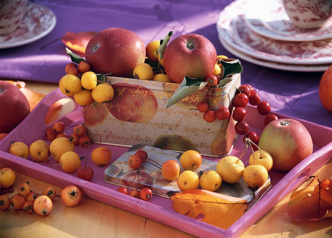 Apples & crab apples in tin with apple motif (table decoration)