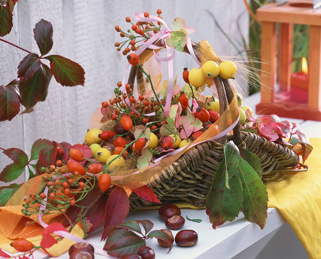 Basket of rose hips, crab-apples, chestnuts and hydrangeas