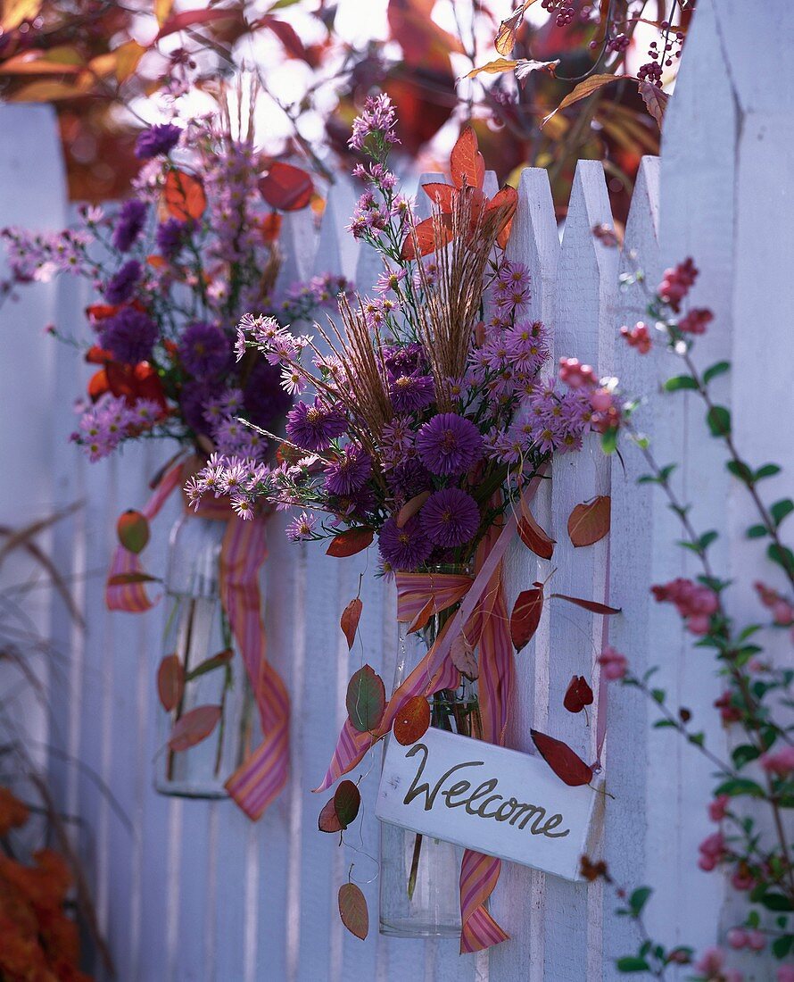 Autumn flowers on garden fence with 'Welcome' sign