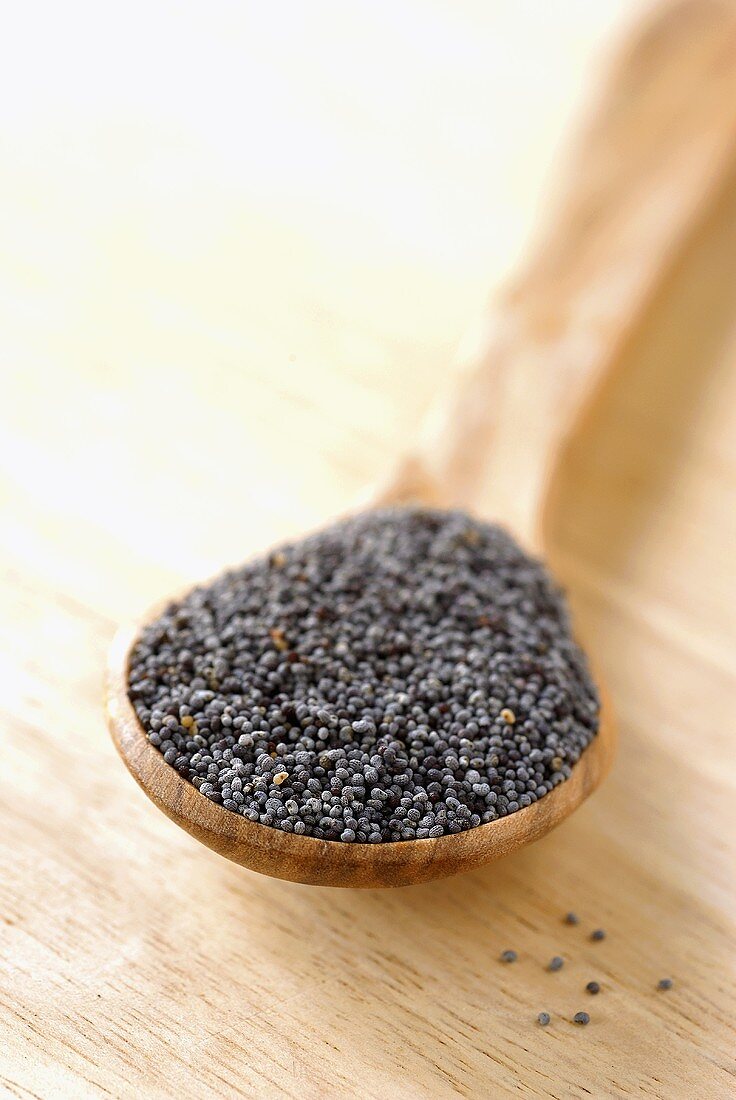 Poppy seeds on wooden spoon