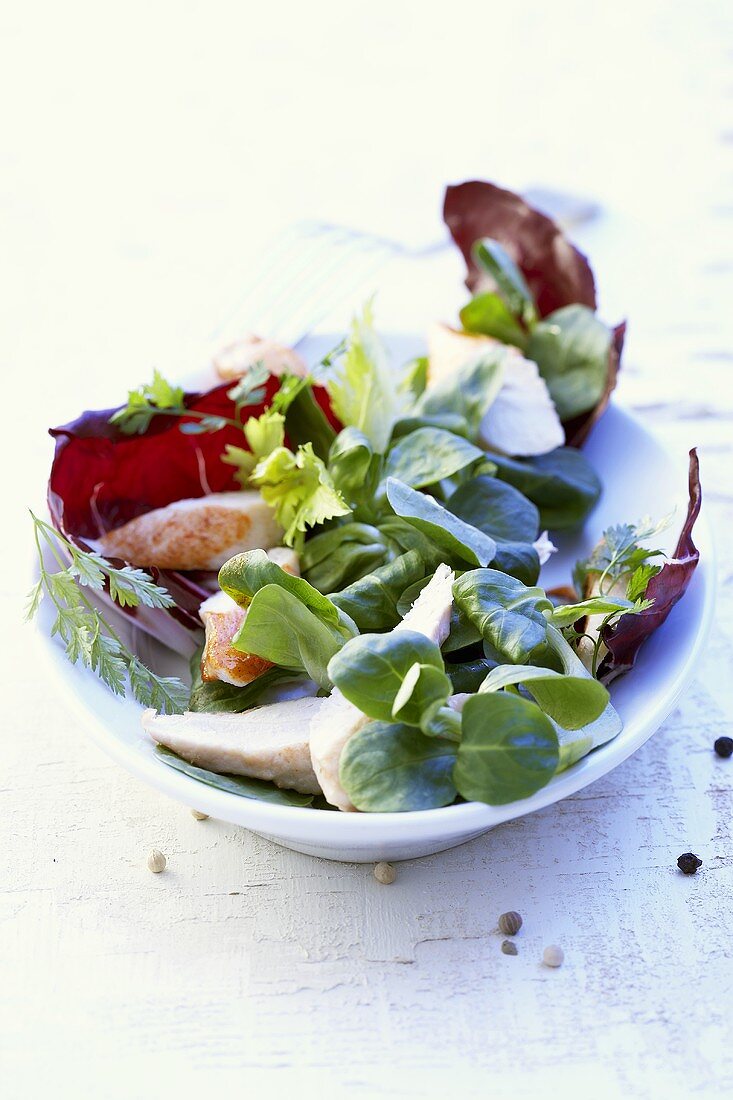 Gemischter Blattsalat mit Kaninchen