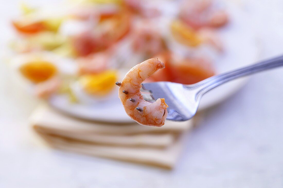 Shrimp on fork, chicory salad in background