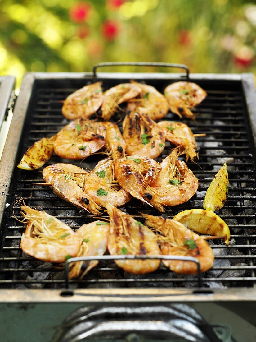 Skewered shrimps on barbecue in the open air