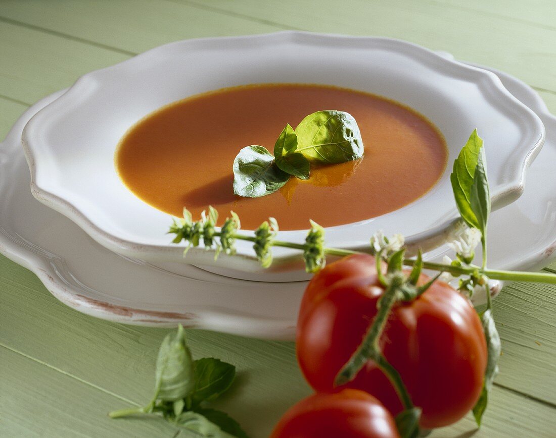 Creamed tomato soup with basil
