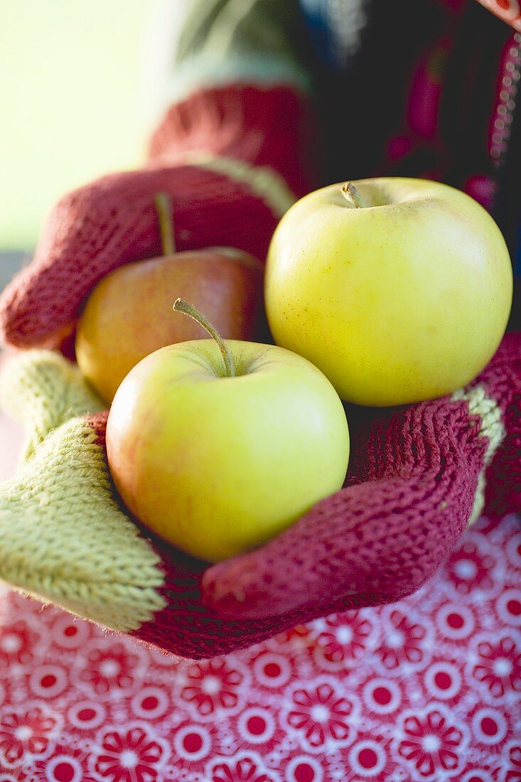 Child's hands in woollen mittens holding apples