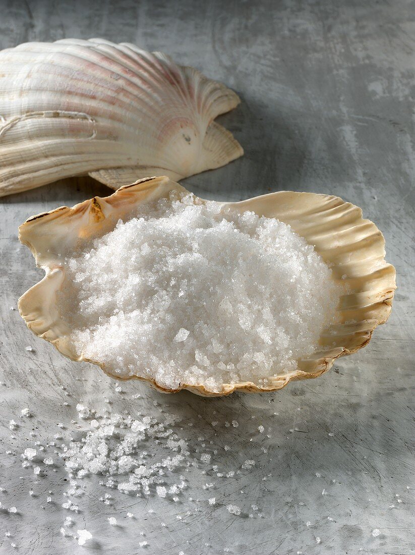 Fleur de sel (expensive salt) in scallop shell