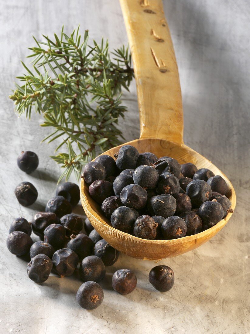 Wacholderbeeren auf Holzlöffel und daneben, Wacholderzweig