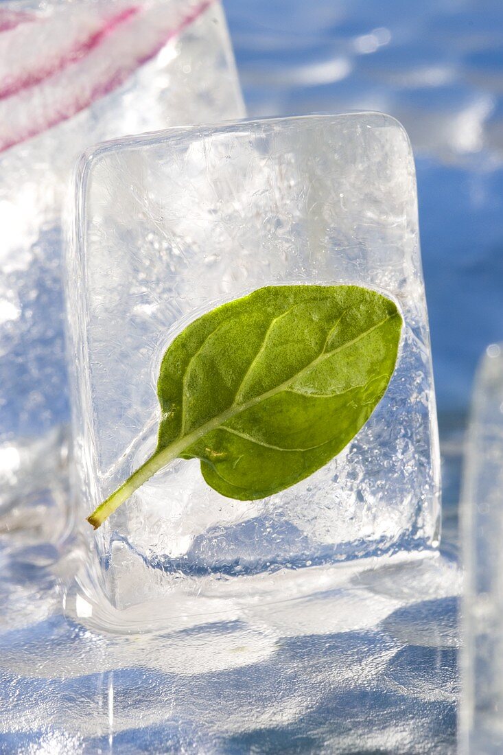 Basil leaf in an ice cube