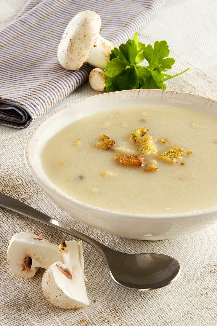Mushroom soup with croutons