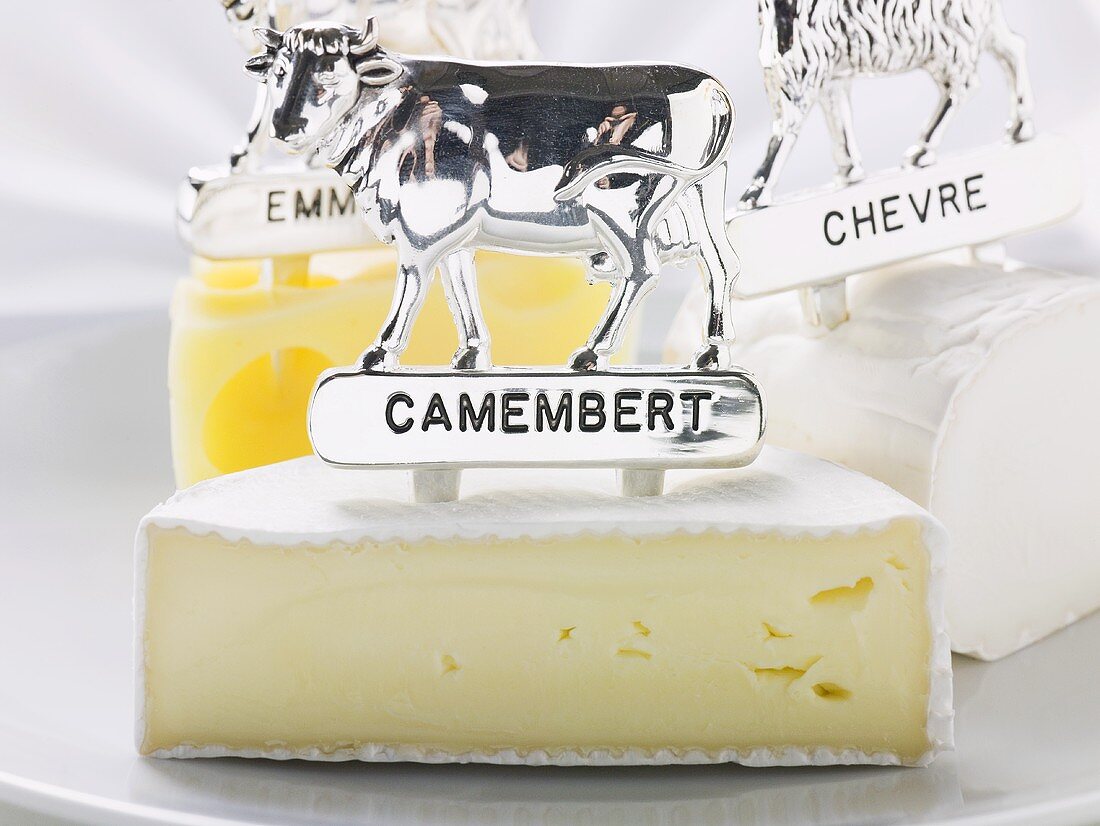 Camembert, Chèvre and Emmental with animal figures