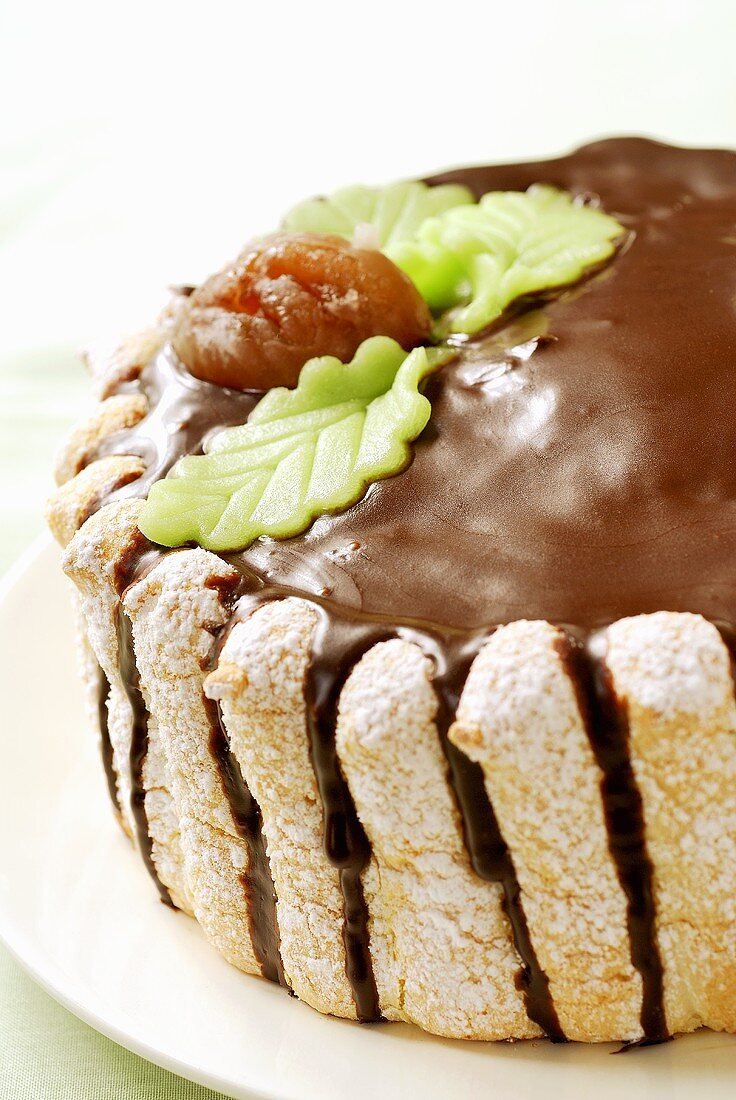 Chestnut cake with chocolate icing
