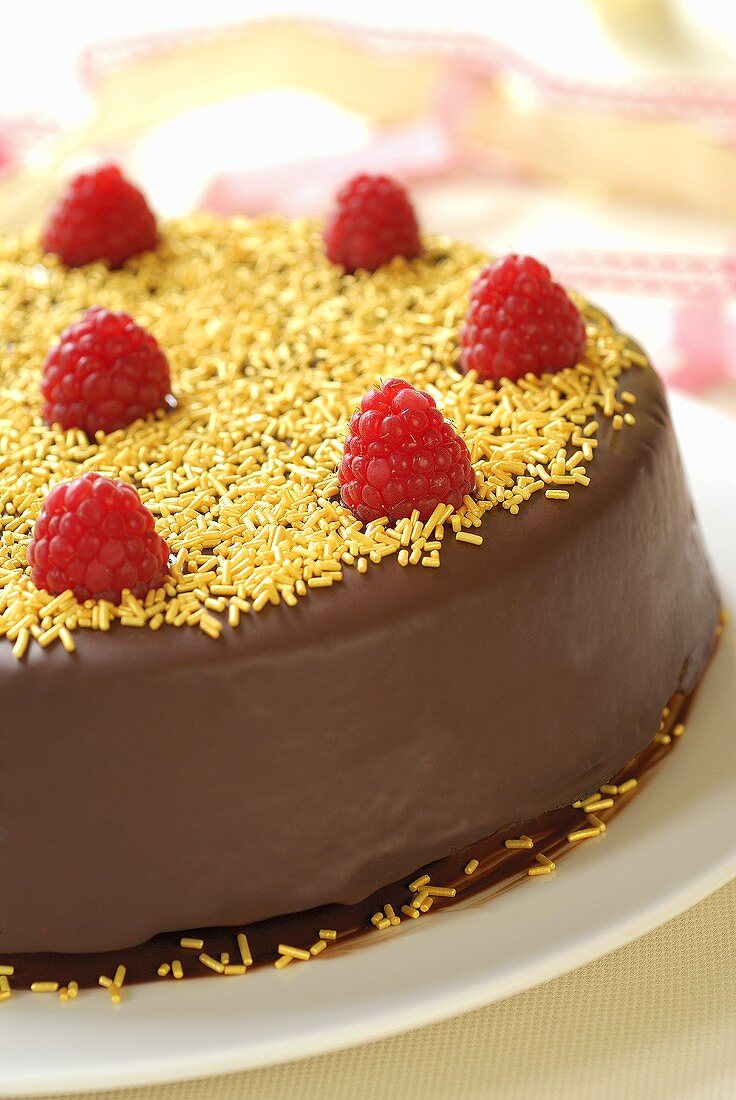 Chocolate cake with raspberries and yellow sprinkles