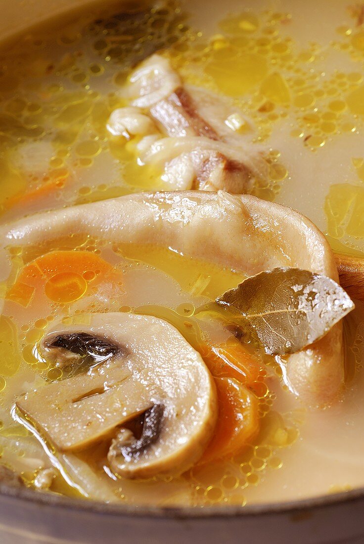 Pig's ear soup with mushrooms, carrots and bay leaf