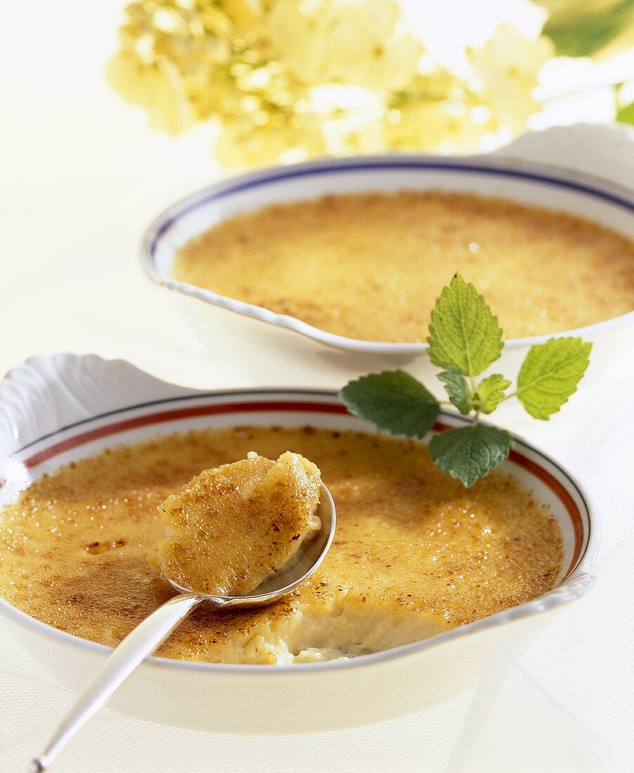 Creme brulee