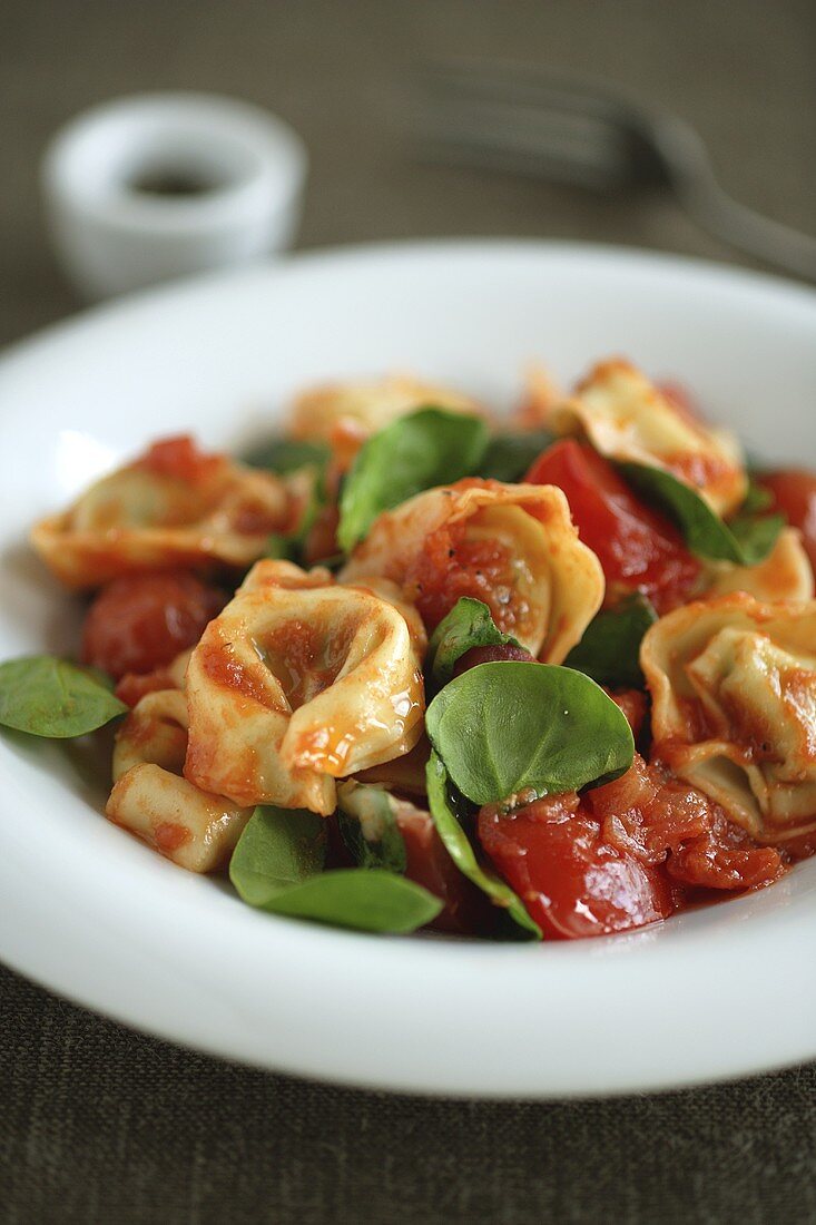 Tortellini mit Tomaten und Basilikum