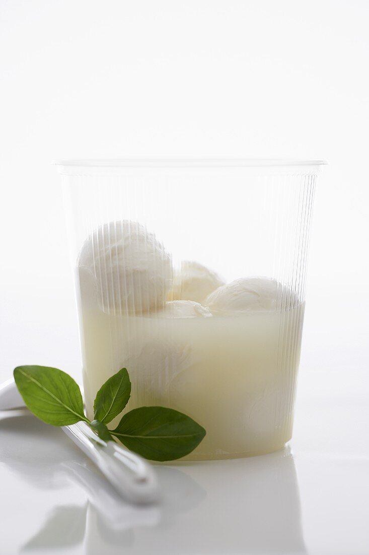 Mozzarella in beaker