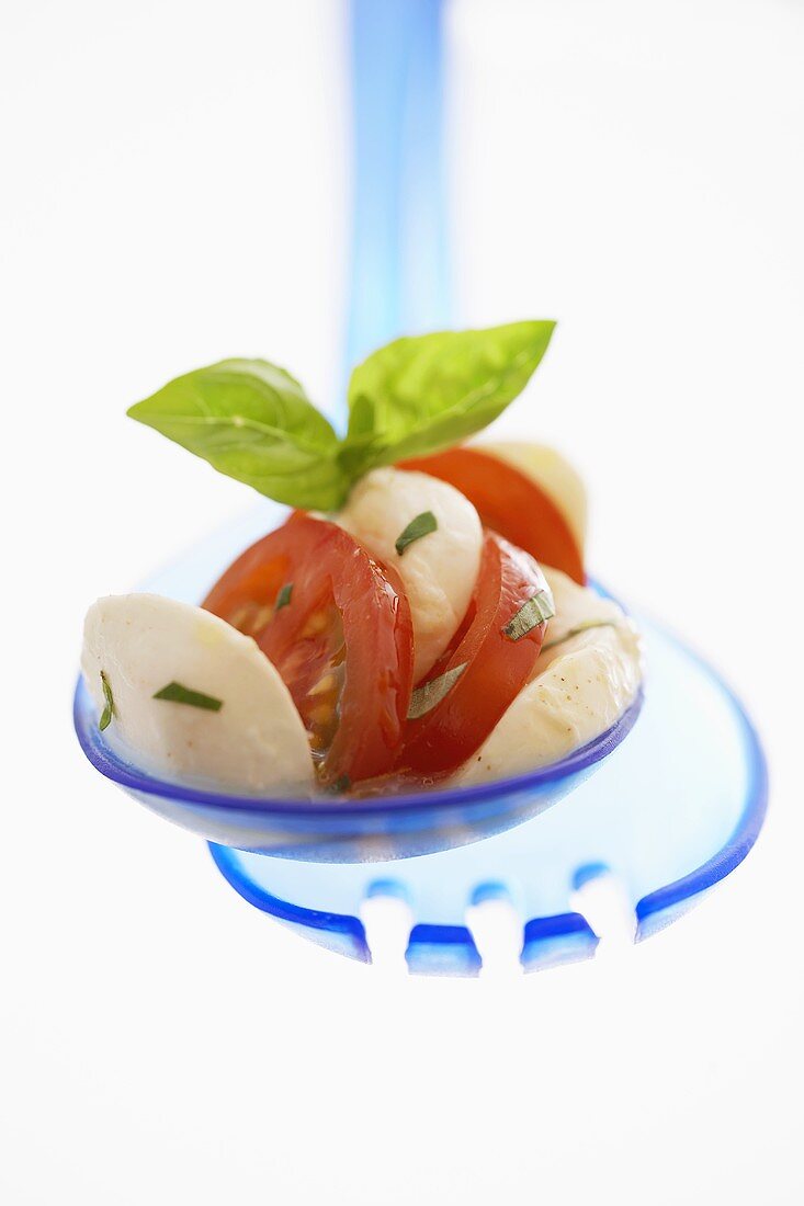 Mozzarella mit Tomaten und Basilikum auf Salatbesteck
