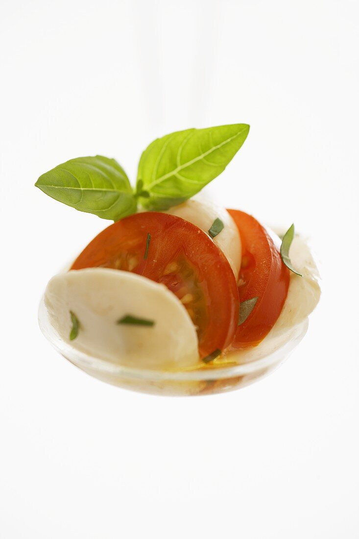 Mozzarella mit Tomaten und Basilikum auf Kelle
