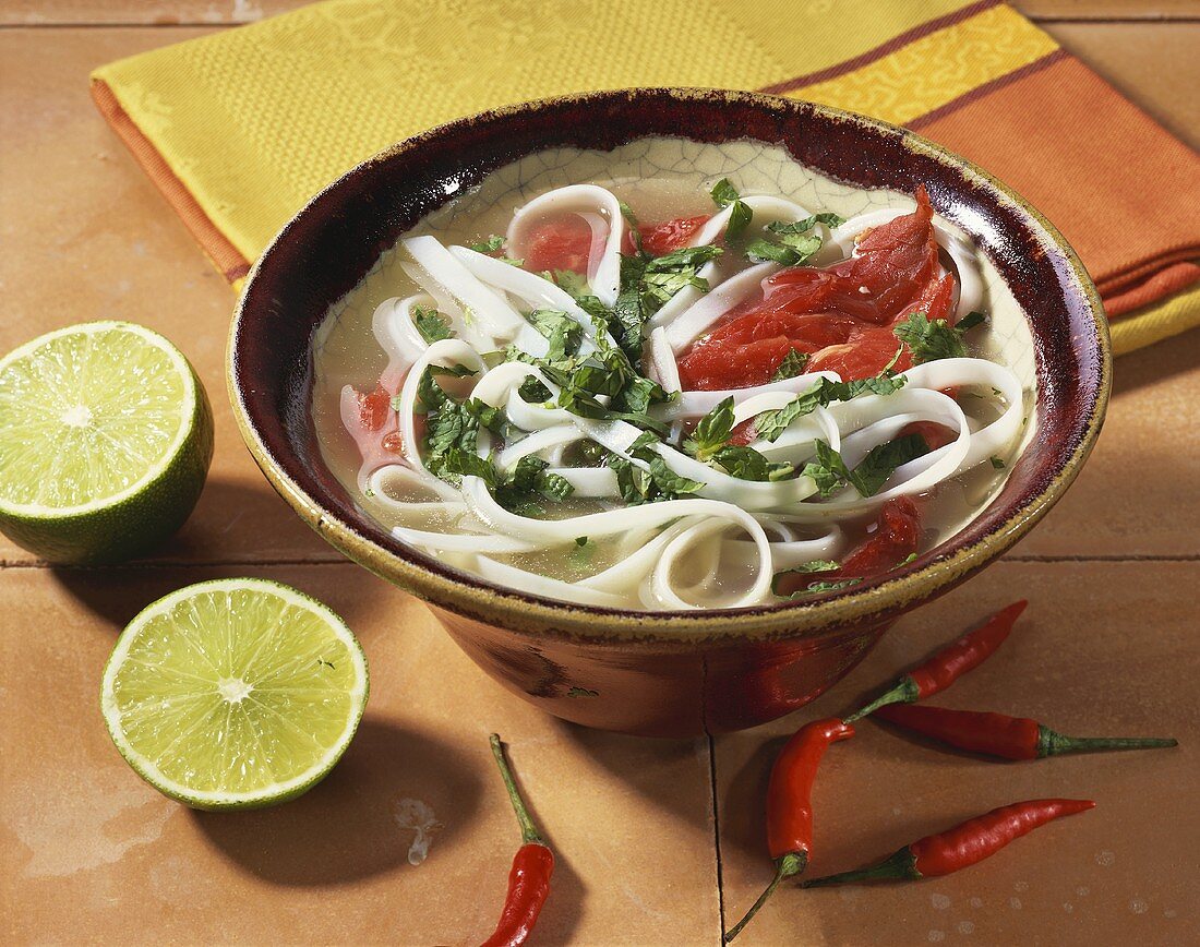 Spicy rice noodle soup with beef and herbs (Vietnam)