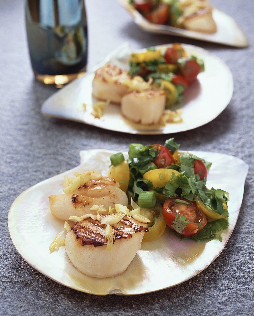 Gegrillte Jakobsmuscheln mit Tomatensalat