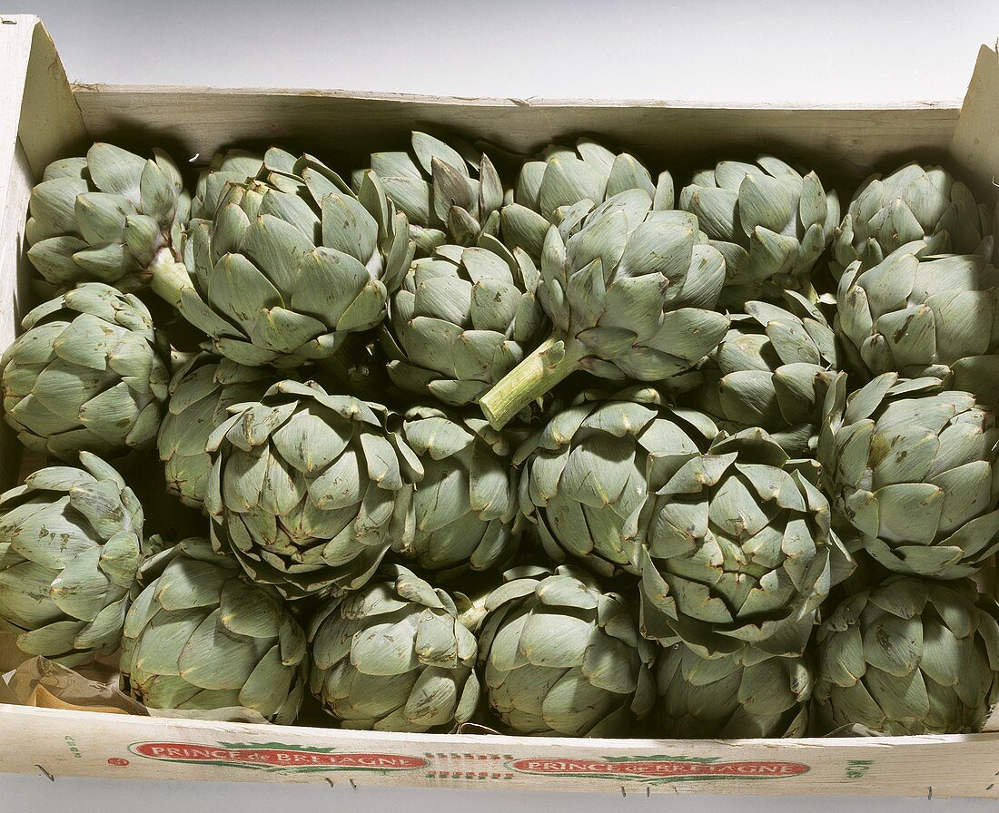 Artichokes in a crate (from Brittany, France)