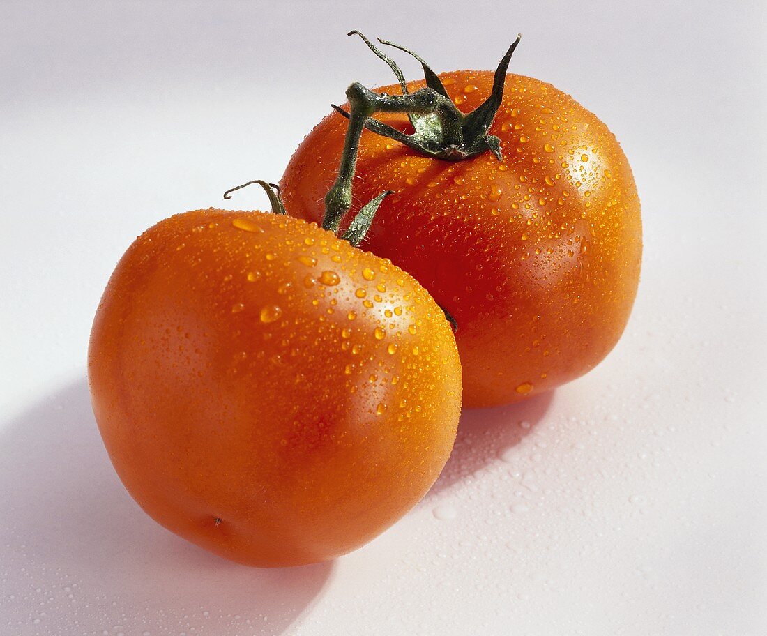 Two tomatoes, variety Carabeta, with drops of water