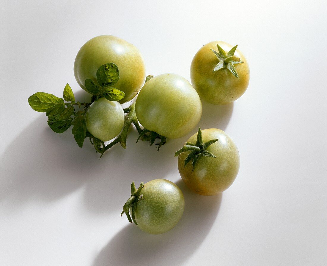 Several green tomatoes