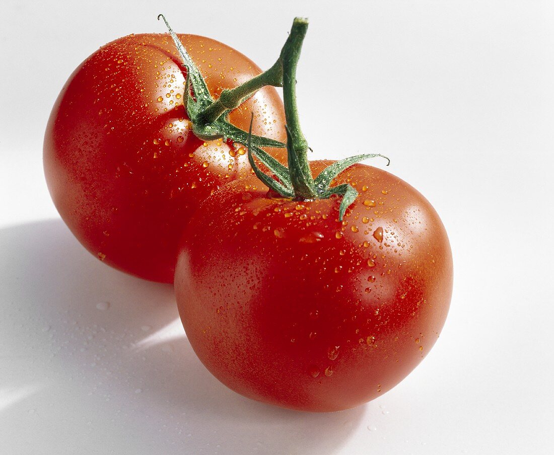 Two tomatoes, variety Voyager, with drops of water